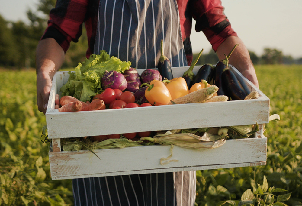 smart farm harvest